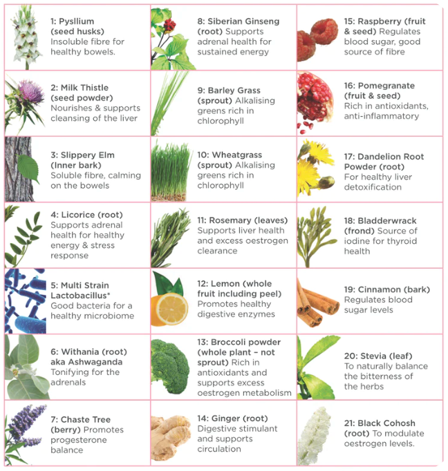 Natural Health by Meah Fem21 300g